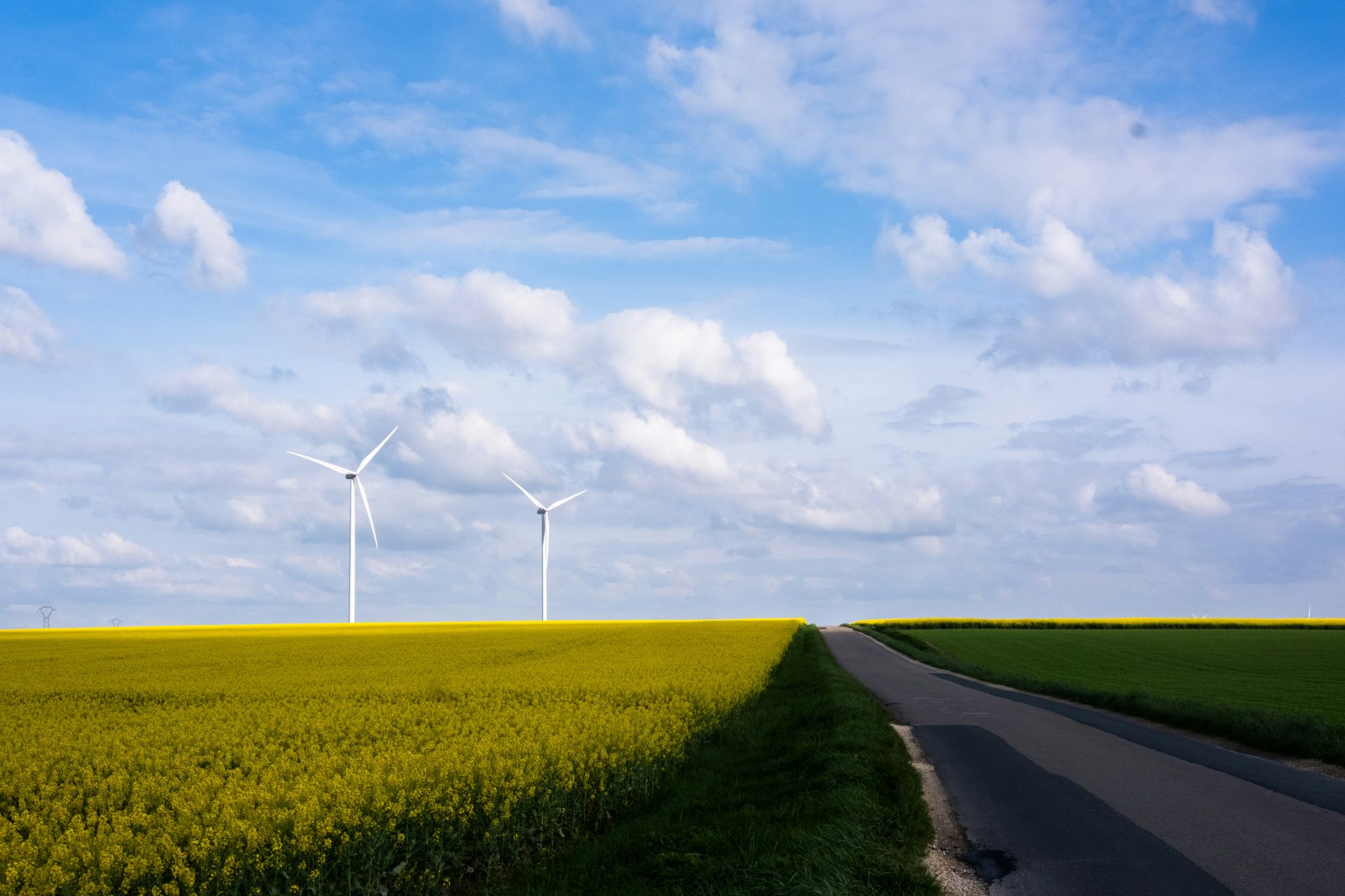Wind turbines stand over a blooming yellow field.